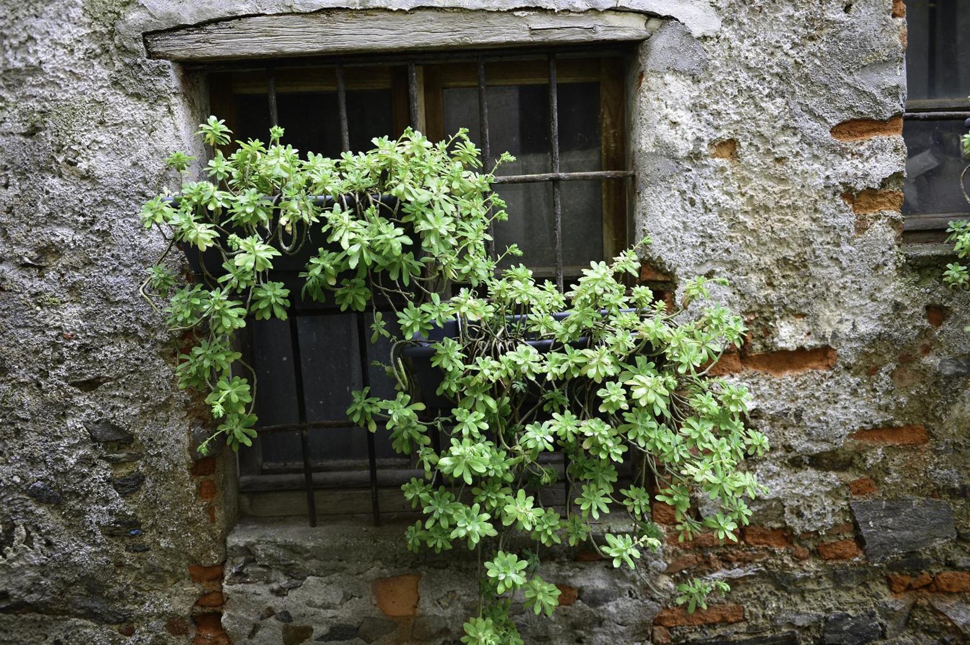 A Casa Di Sole Brovello 아파트 외부 사진